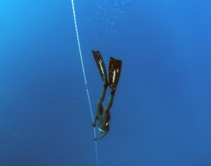 a diver diving deep